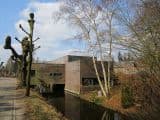 IMG 1649  Small 